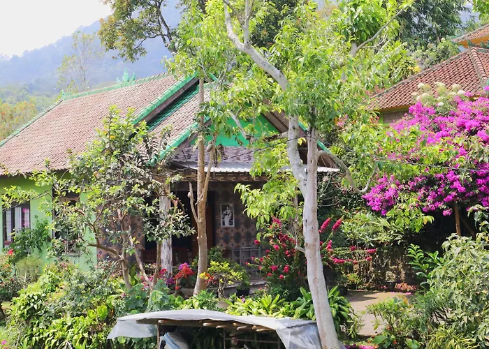 Dajan Buyan Homestay